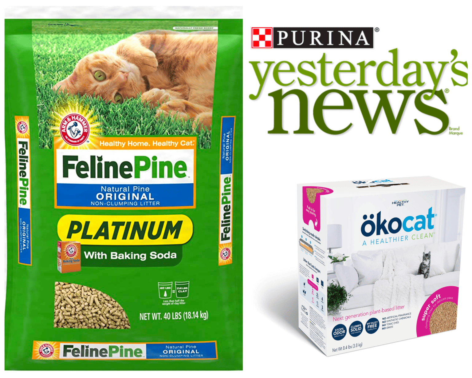 DustFree and EcoFriendly The Best NonClumping Cat Litters of 2024